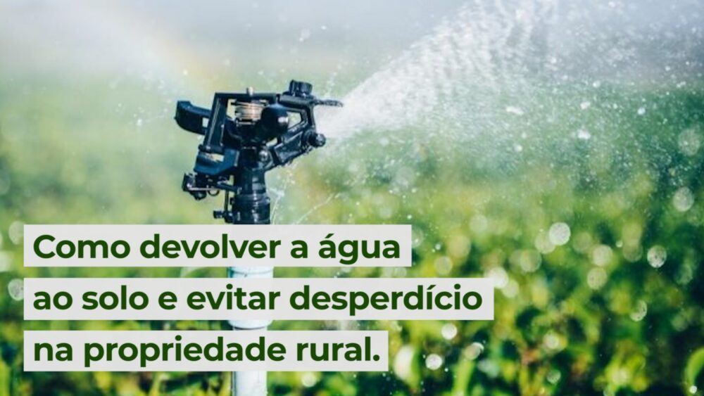 Como devolver a água ao solo e evitar desperdício na propriedade rural