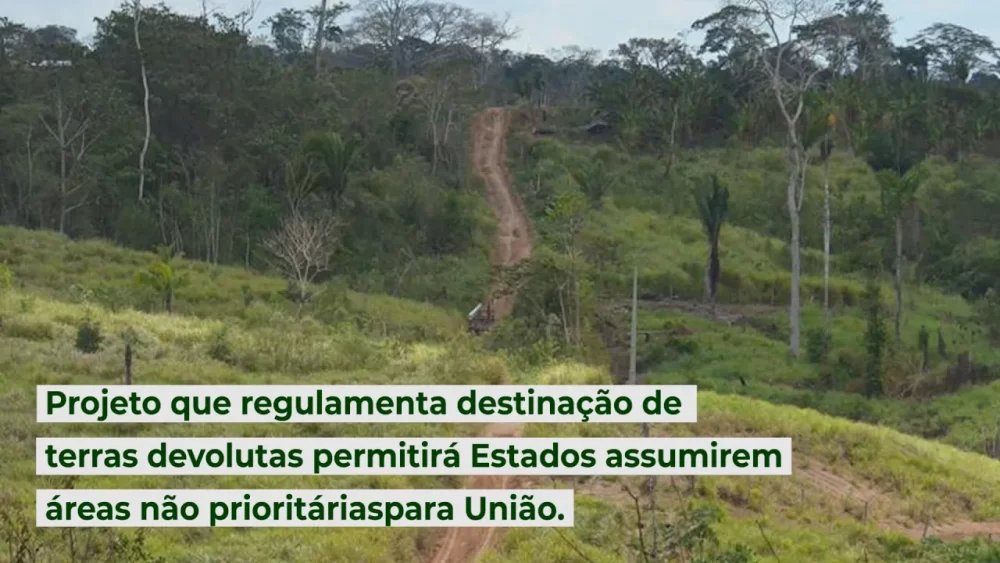 Projeto que regulamenta destinação de terras devolutas permitirá ...