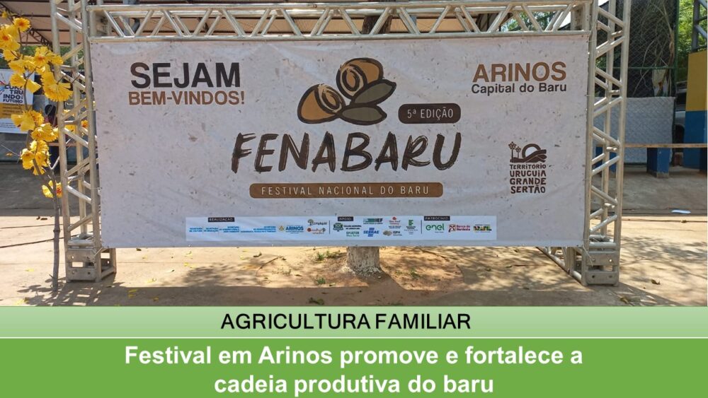Festival em Arinos promove e fortalece a cadeia produtiva do baru