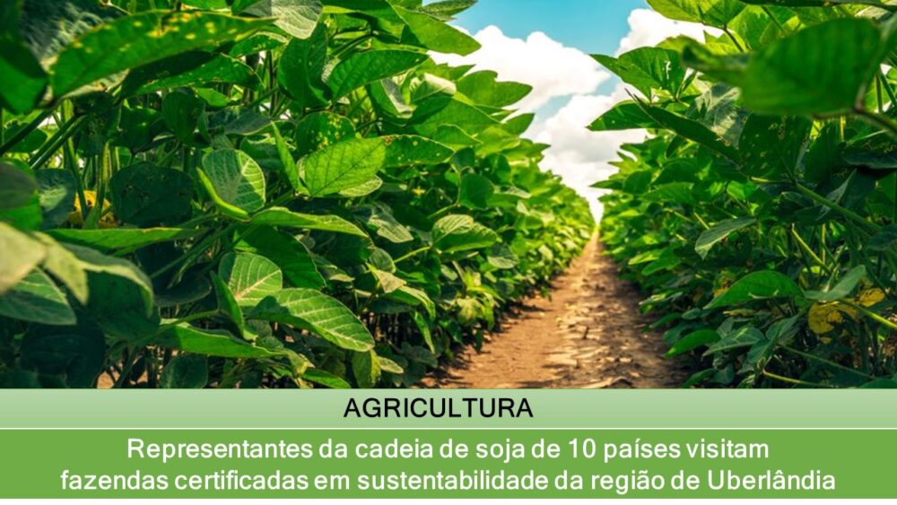 Representantes da cadeia de soja de 10 países visitam fazendas certificadas em sustentabilidade da região de Uberlândia