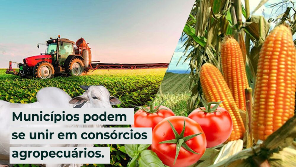 Municípios Mineiros podem se unir em consórcios agropecuários