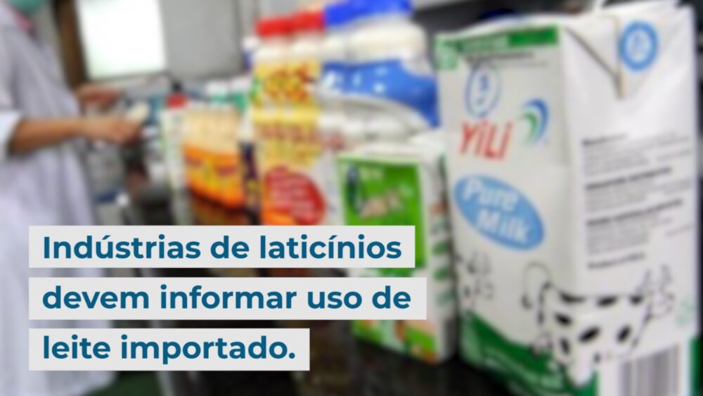 Indústrias de laticínios devem informar uso de leite importado