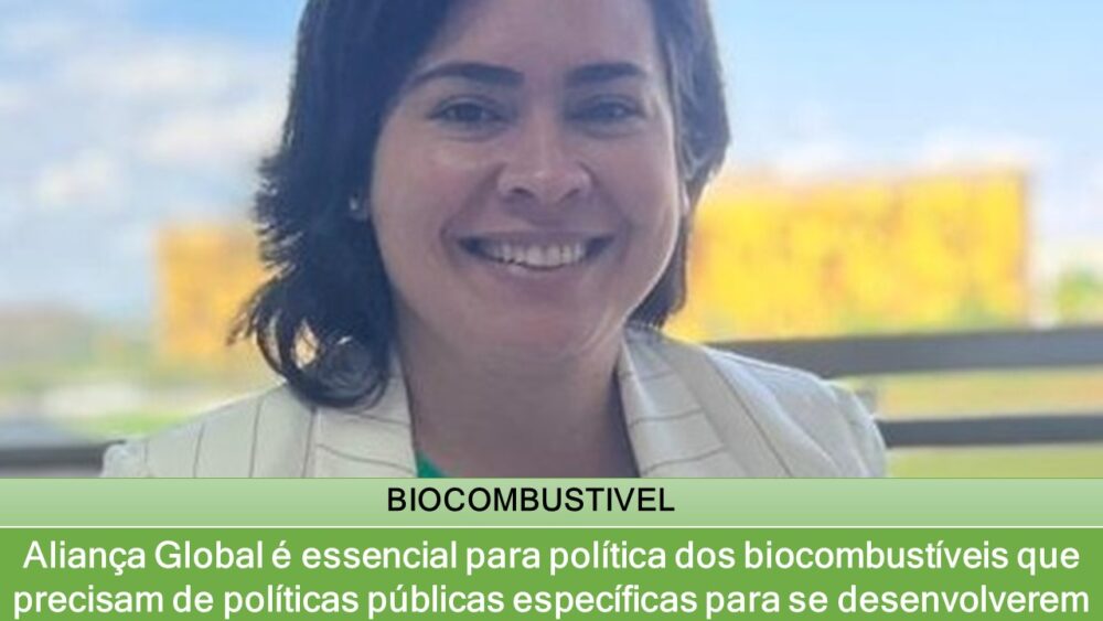 Aliança Global é essencial para política dos biocombustíveis que precisam de políticas públicas específicas para se desenvolverem