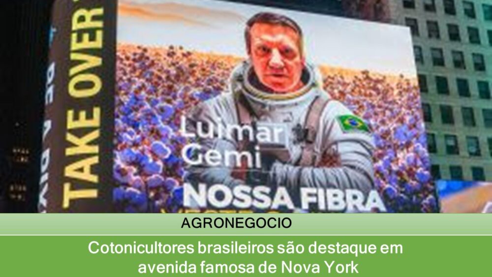 Cotonicultores brasileiros são destaque em avenida famosa de Nova York