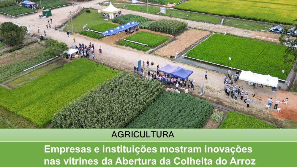 Empresas e instituições mostram inovações nas vitrines da Abertura da Colheita do Arroz