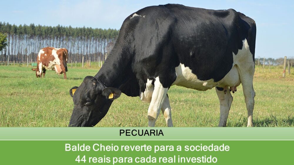 Balde Cheio reverte para a sociedade 44 reais para cada real investido