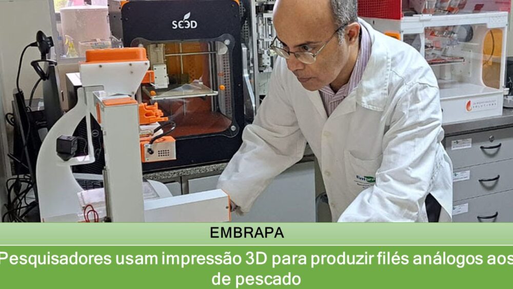 Pesquisadores usam impressão 3D para produzir filés análogos aos de ...