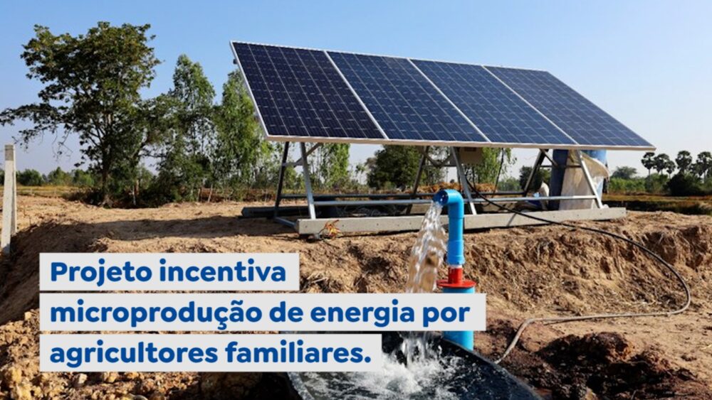 Projeto incentiva microprodução de energia por agricultores familiares