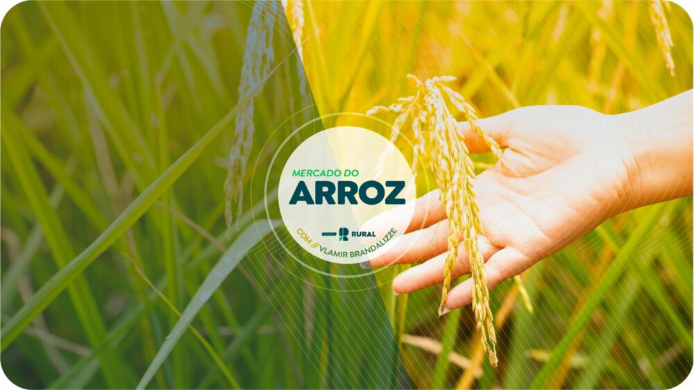 Exportações de arroz podem trazer fôlego às cotações