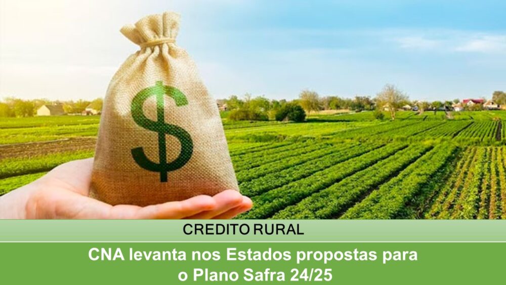 CNA levanta nos Estados propostas para o Plano Safra 24/25