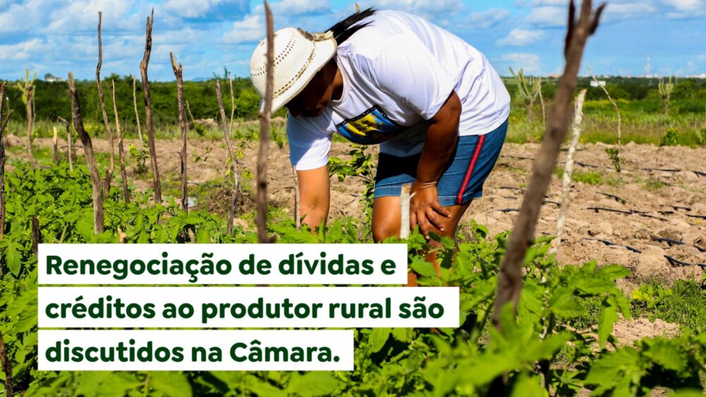 Renegociação de dívidas e créditos ao produtor rural são discutidos na Câmara
