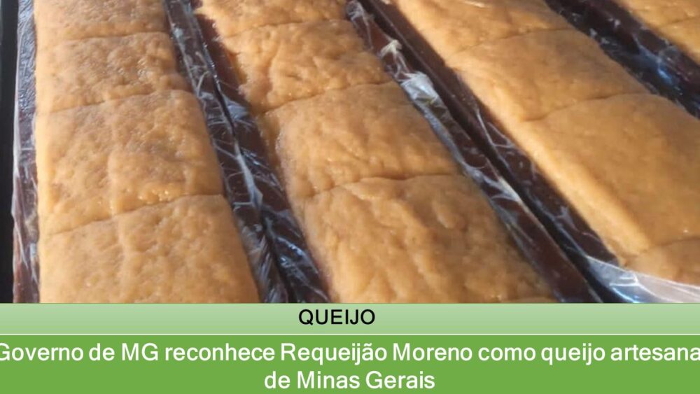 Governo de MG reconhece Requeijão Moreno como queijo artesanal de Minas Gerais
