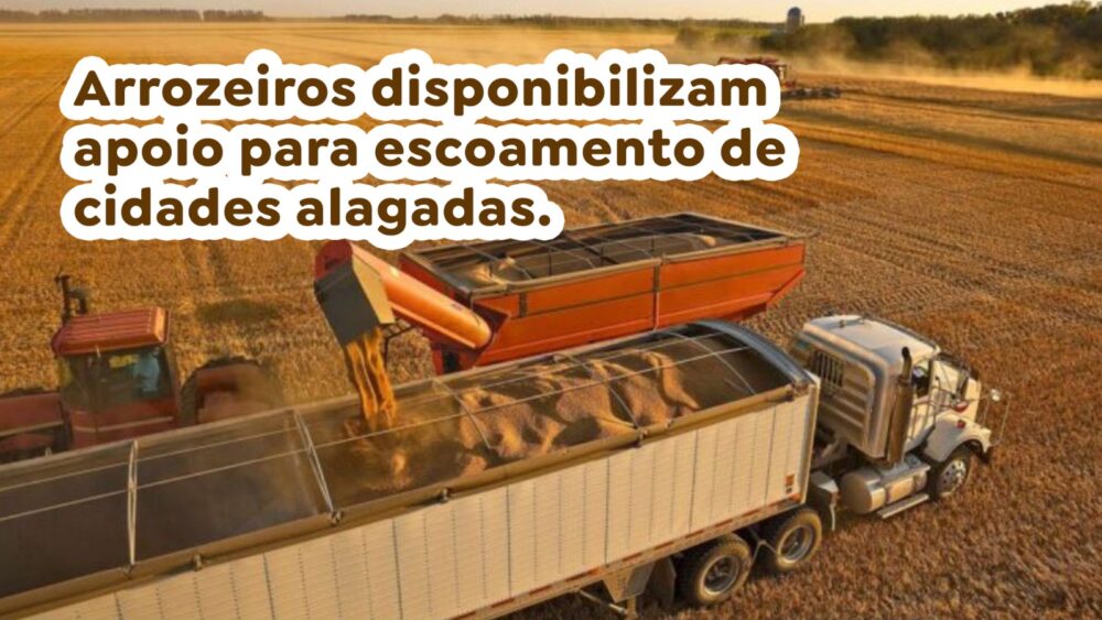 Arrozeiros disponibilizam apoio para escoamento de cidades alagadas