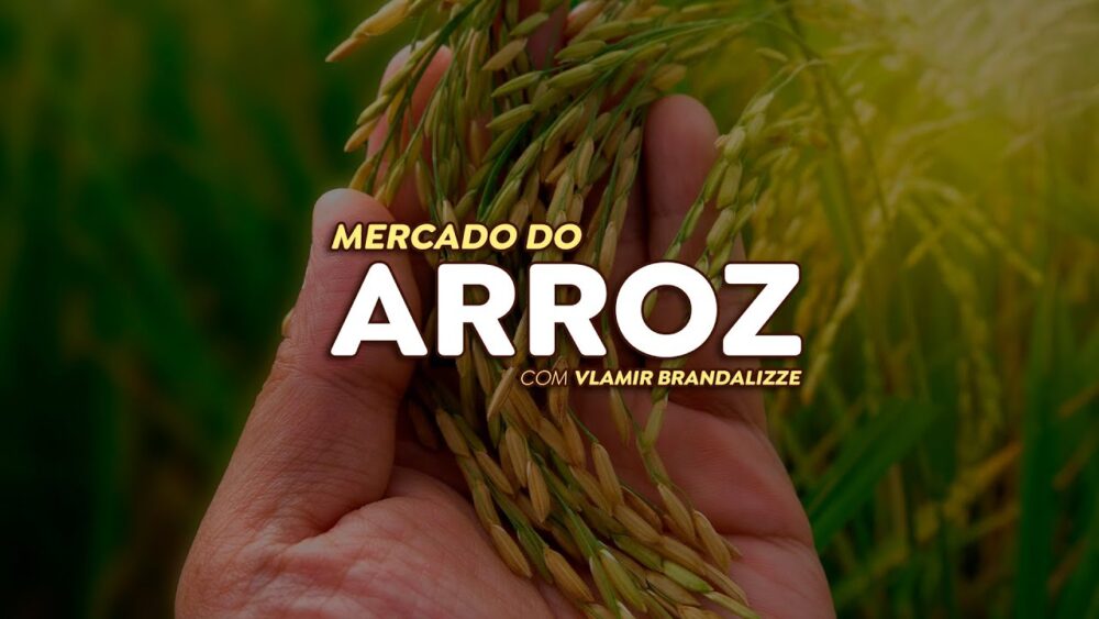 Produtores de arroz esperam por tempo firme para retomar plantio; preços devem subir em outubro.