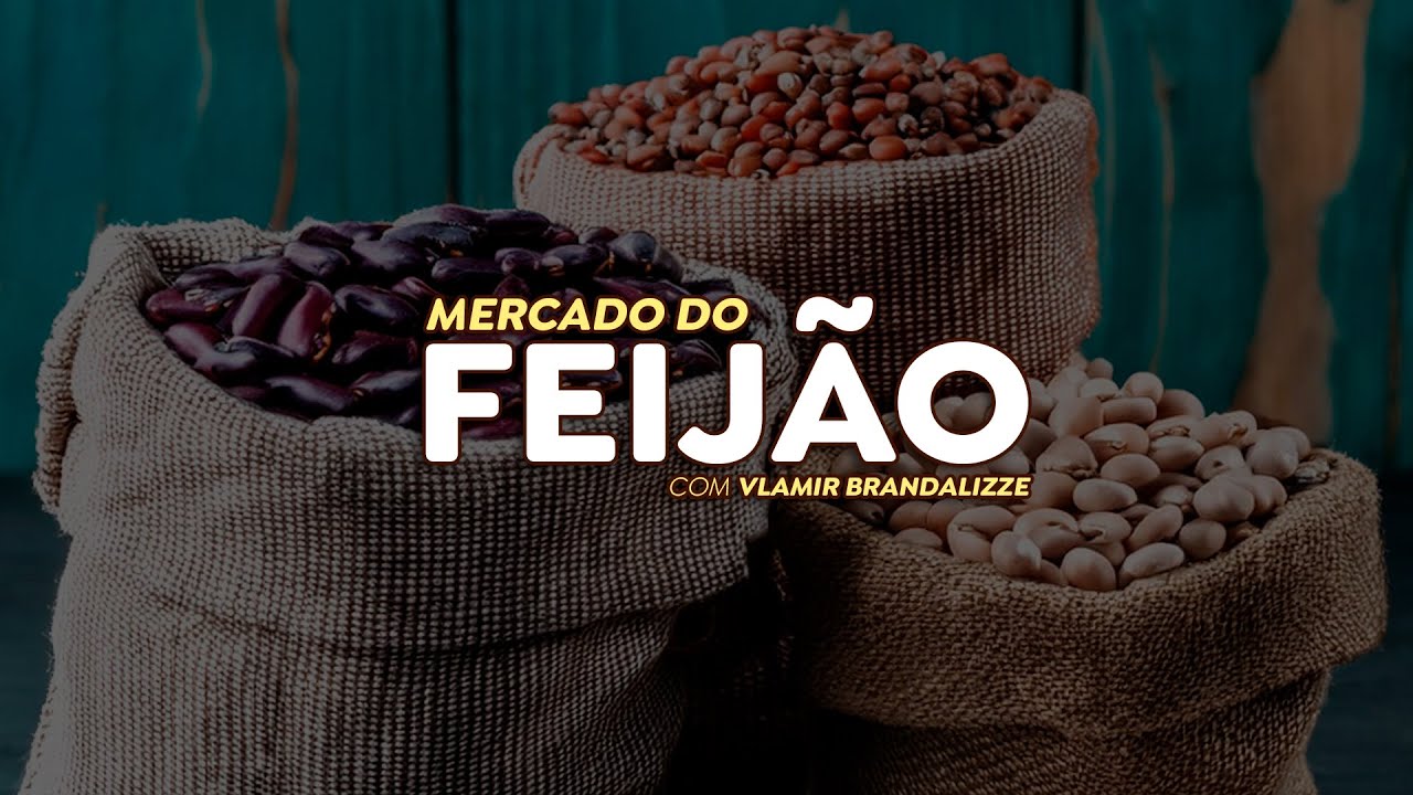 Preços do feijão carioca nobre seguem entre R$200 e R$230 por saca