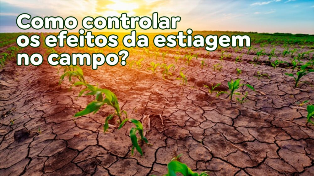 Como controlar os efeitos da estiagem no campo?