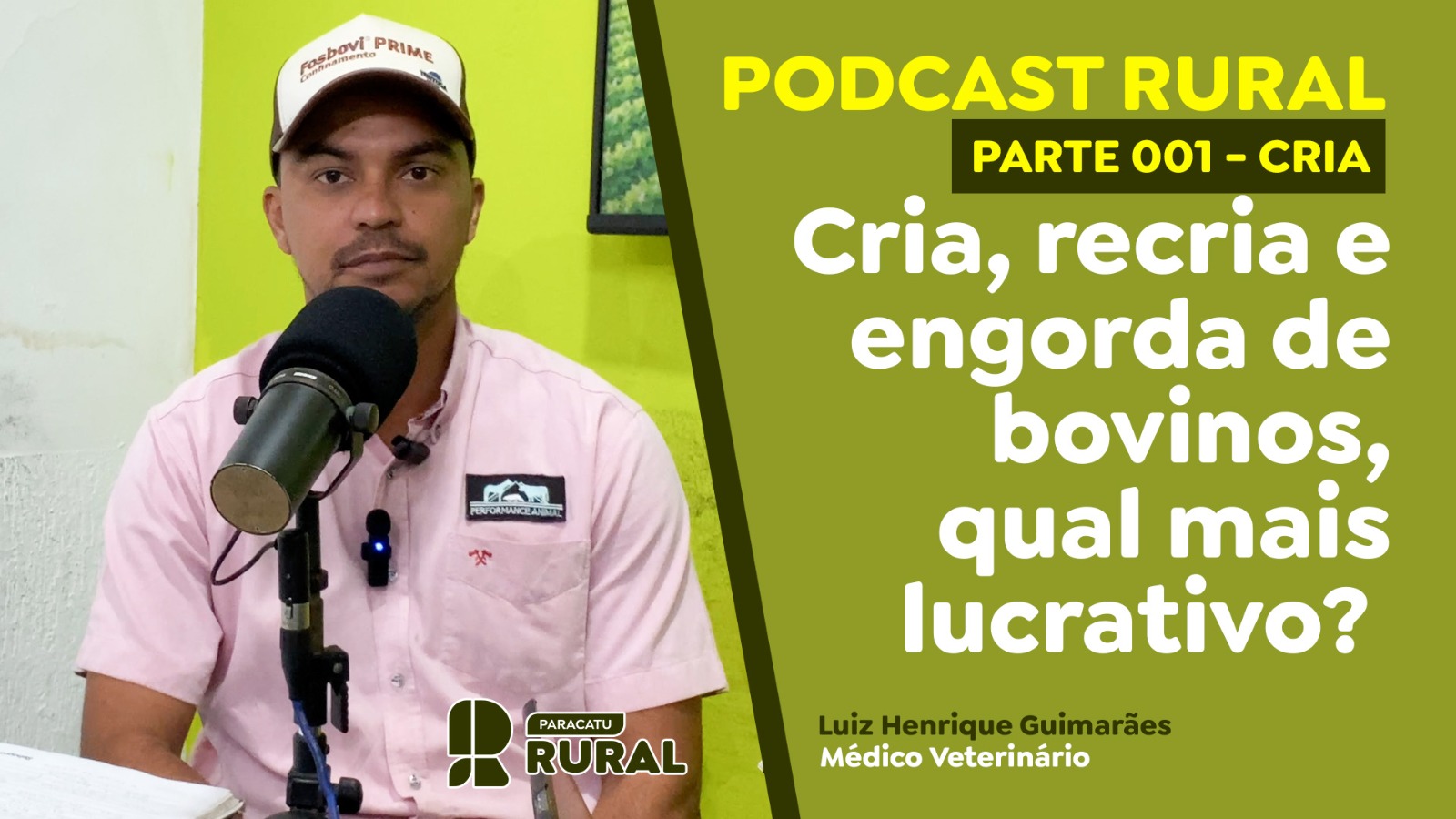 Cria, recria e engorda de bovinos, qual mais lucrativo? – Parte 1 – Cria