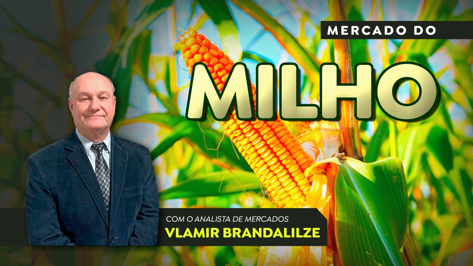 Como estão os preços do milho para os contratos até o fim do ano?