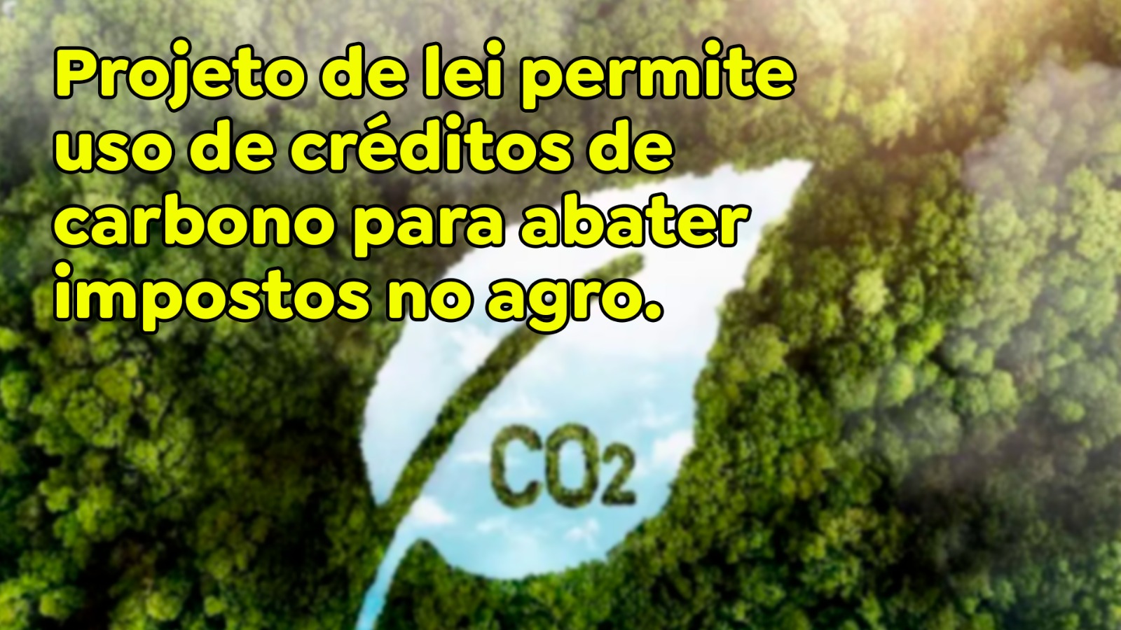Projeto de lei permite uso de créditos de carbono para abater impostos ...
