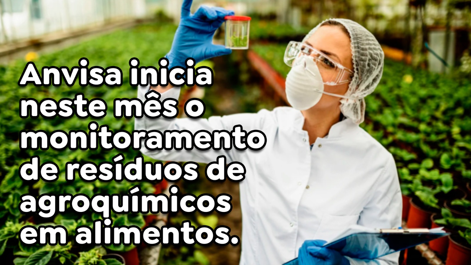 Anvisa inicia neste mês o monitoramento de resíduos de agroquímicos em alimentos