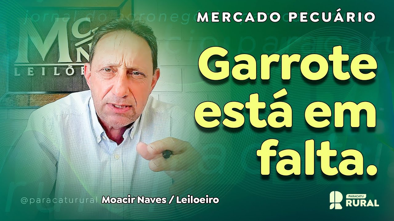 Garrote está em falta e buscas devem se intensificar; pecuária está ficando em segundo plano
