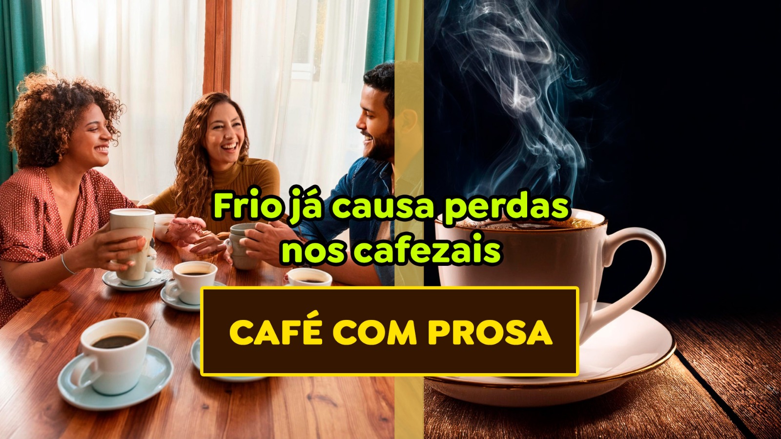 Cafezais brasileiros sofrem com onda de frio