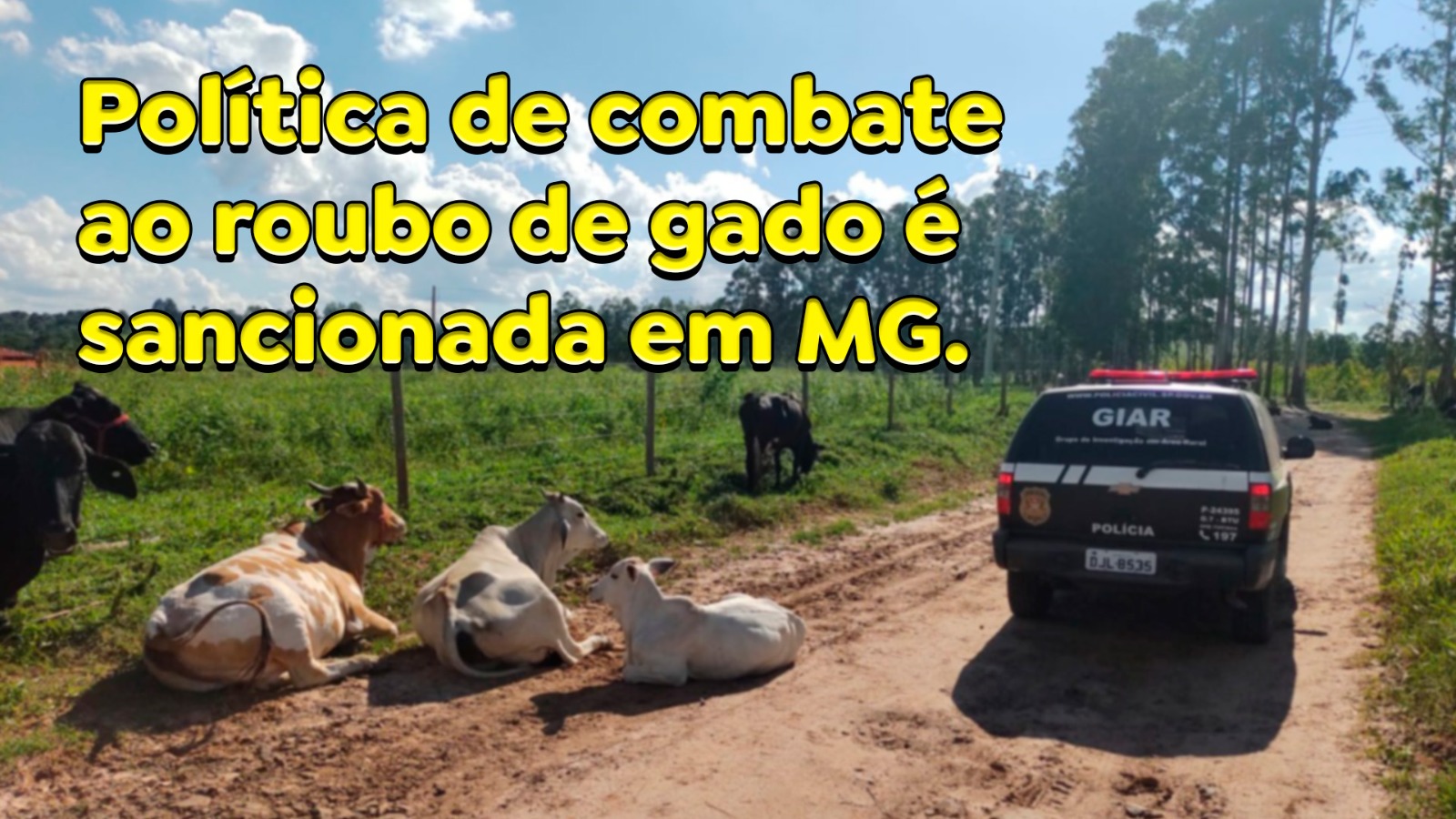 Política de combate ao roubo de gado é sancionada em MG