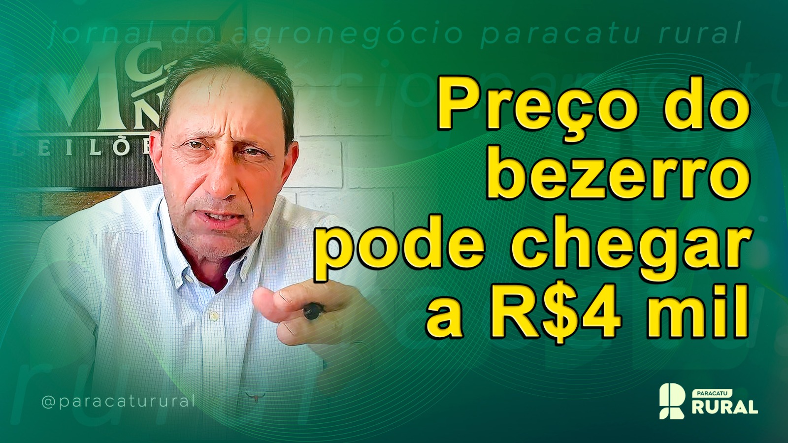 Preço do bezerro pode chegar a R$4 mil em 2026; momento para investir é agora