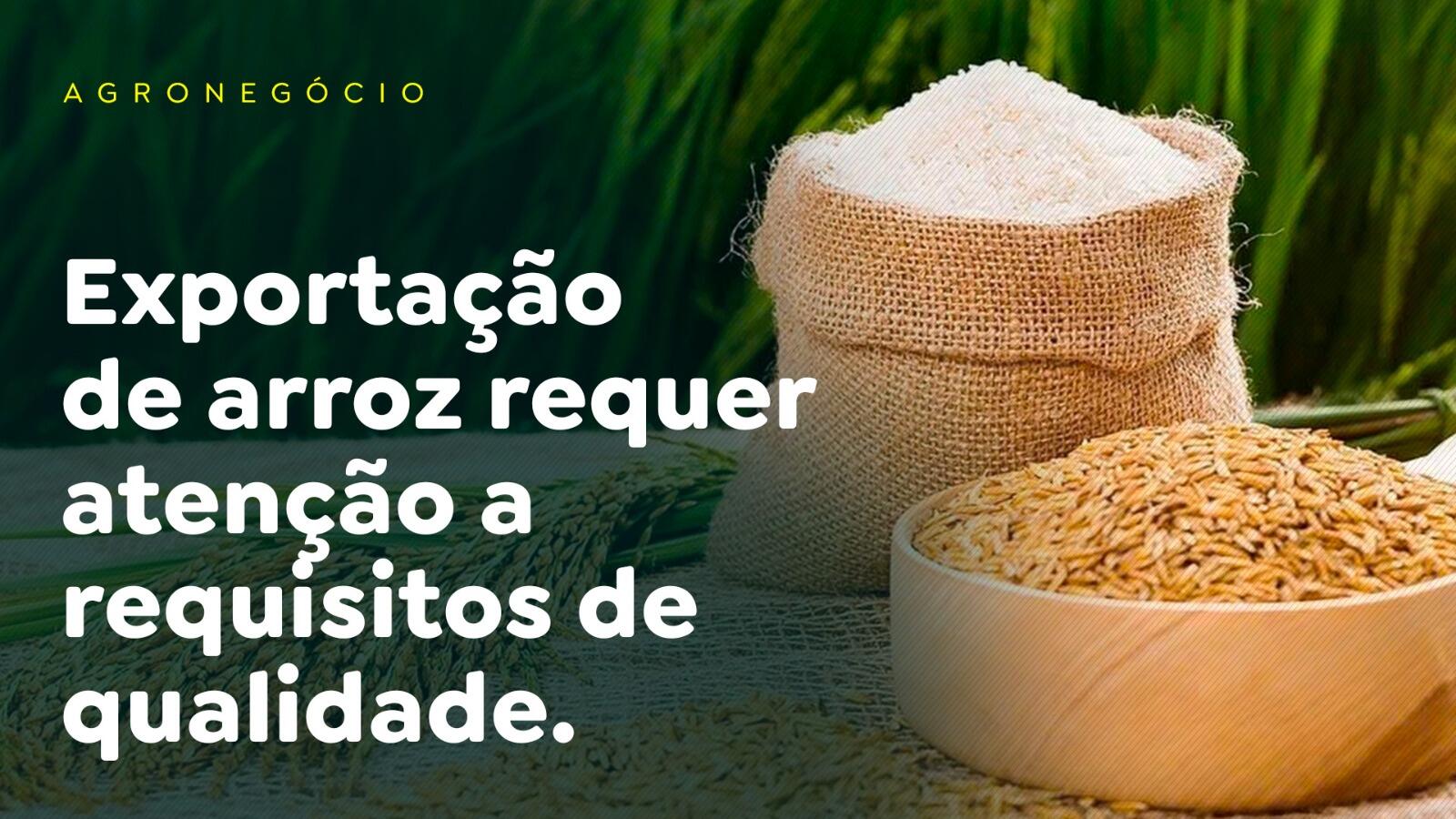 Exportação de arroz requer atenção a requisitos de qualidade