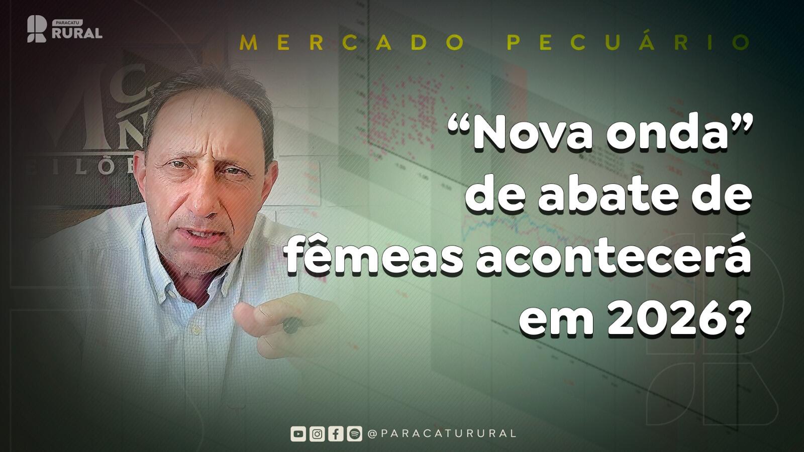 “Nova onda” de abate de fêmeas acontecerá em 2026?