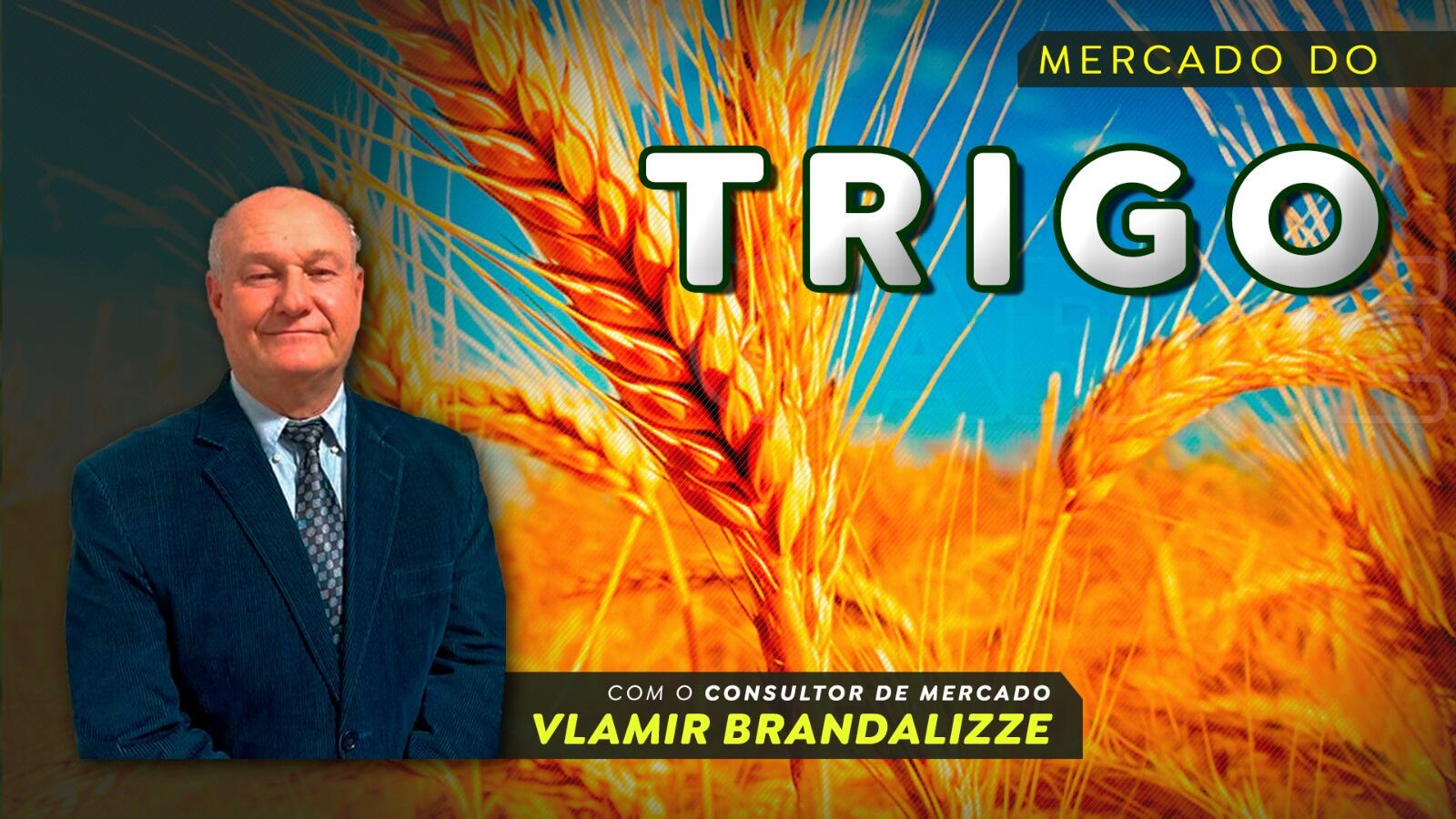 Trigo pode ter nova alta com inverno rigoroso no Hemisfério Norte