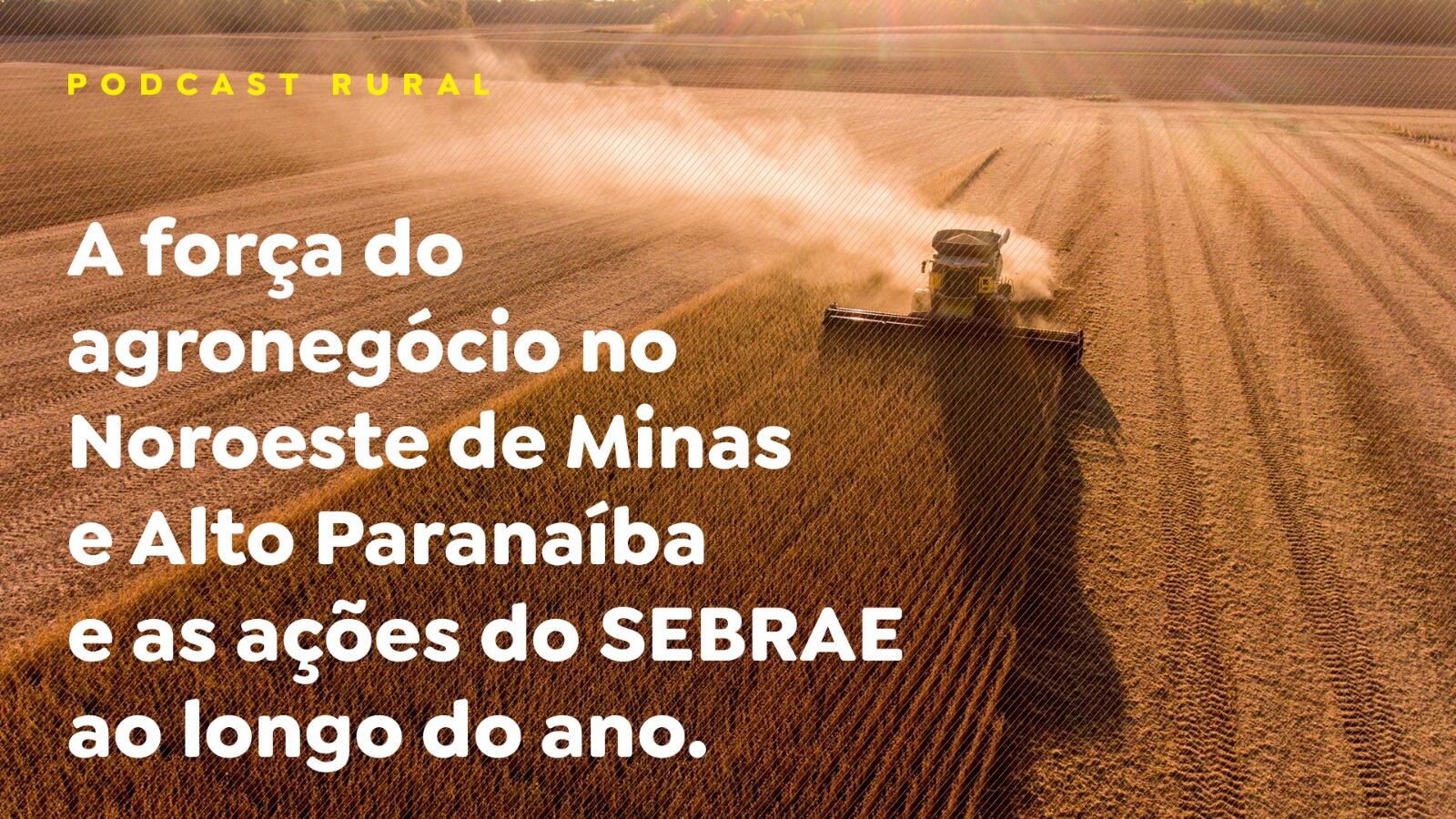 A força do agronegócio no Noroeste de Minas e Alto Paranaíba e as ações do SEBRAE ao longo do ano