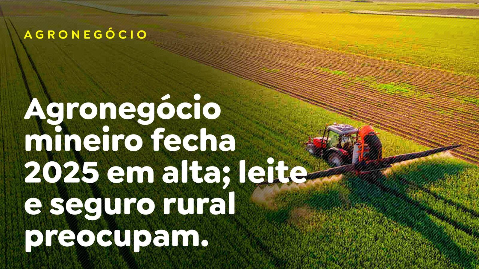 Agronegócio mineiro fecha 2025 em alta; leite e seguro rural preocupam