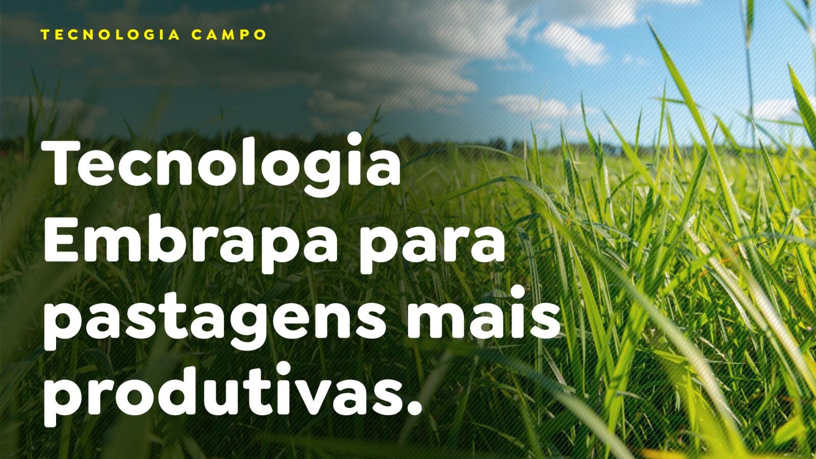 Tecnologia Embrapa para pastagens mais produtivas