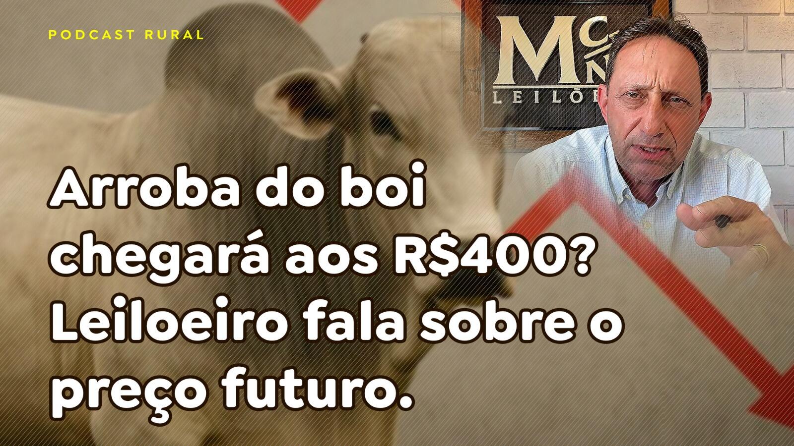 Arroba do boi chegará aos R$400? Leiloeiro fala sobre o preço futuro