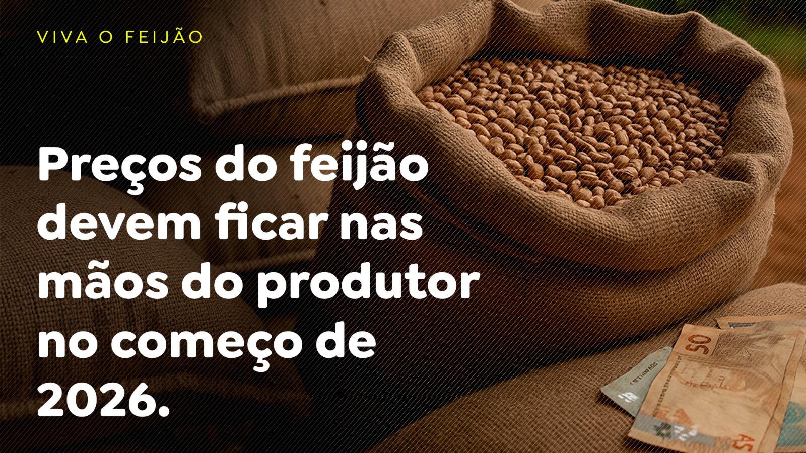 Preços do feijão devem ficar nas mãos do produtor no começo de 2026