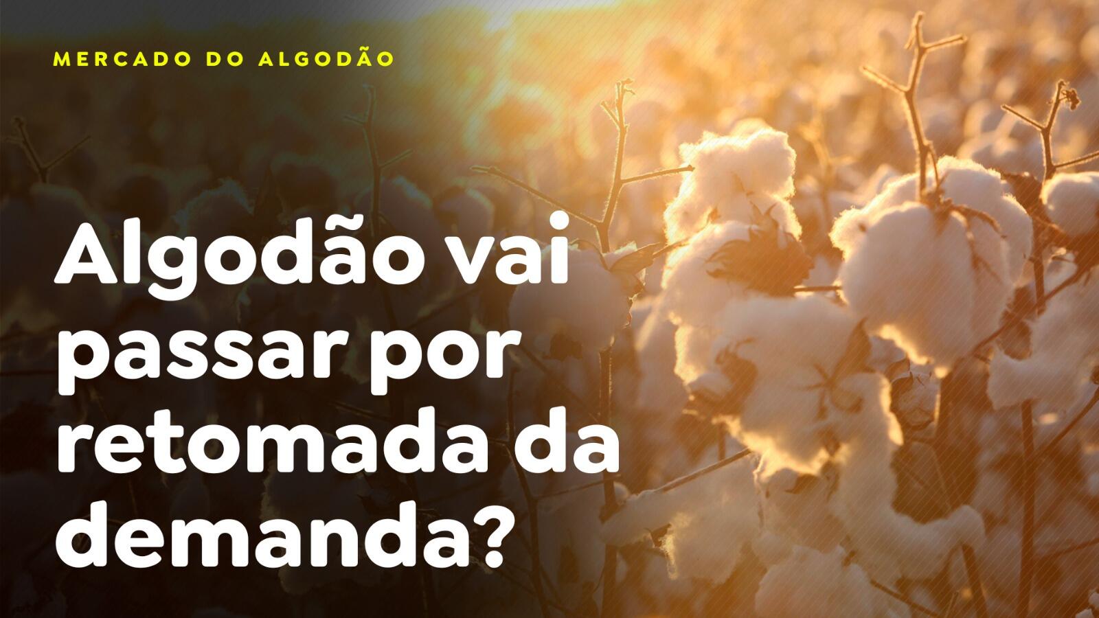 Algodão vai passar por retomada da demanda?