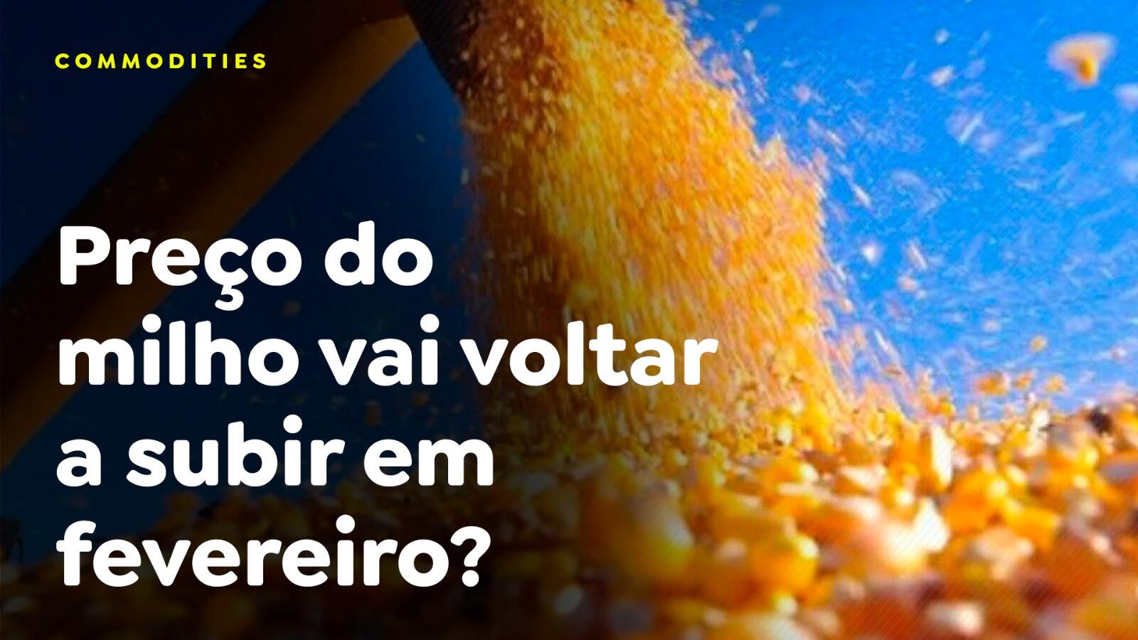 Preço do milho vai voltar a subir em fevereiro?