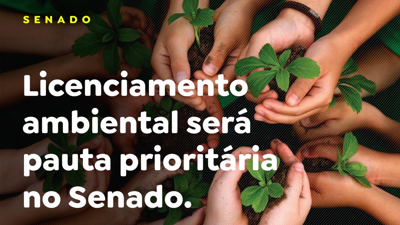 Licenciamento ambiental será pauta prioritária no Senado