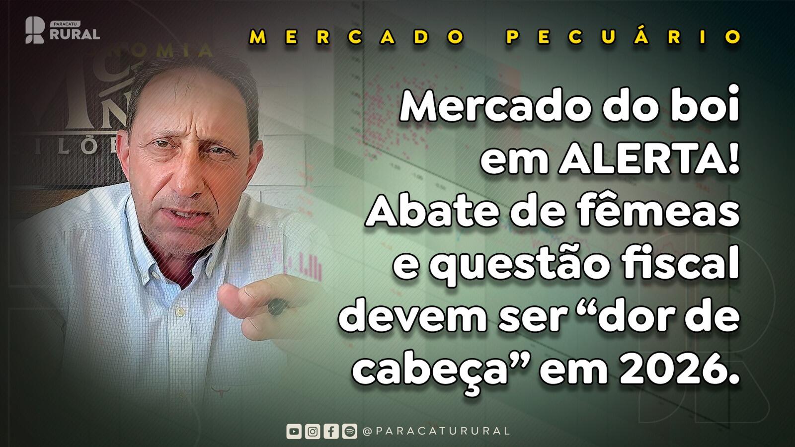 Mercado do boi em ALERTA! Abate de fêmeas e questão fiscal devem ser “dor de cabeça” em 2026