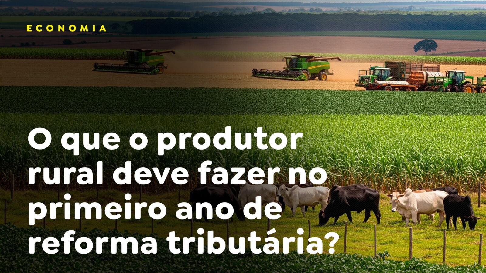 O que o produtor rural deve fazer no primeiro ano de reforma tributária?