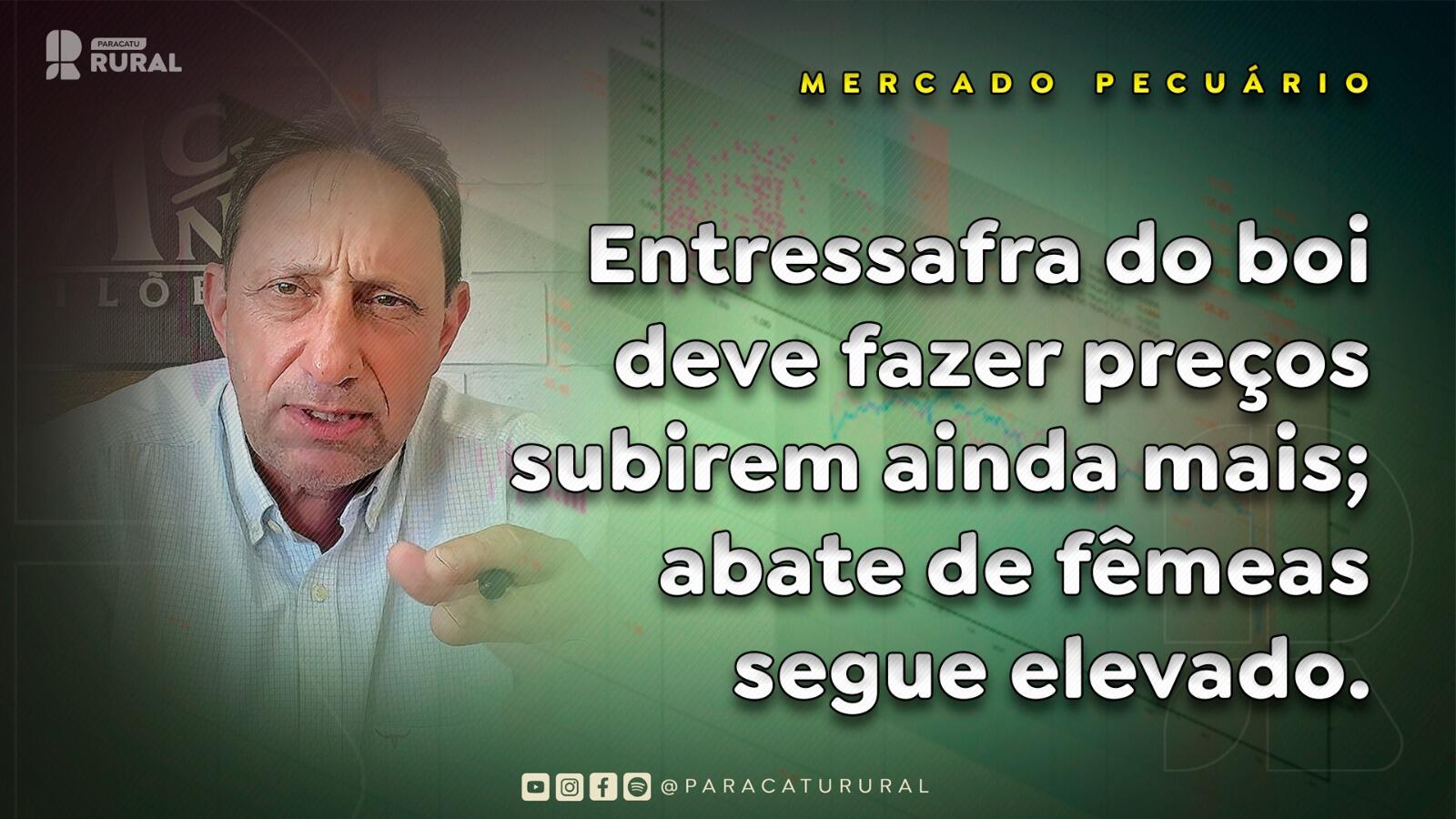 Entressafra do boi deve fazer preços subirem ainda mais; abate de fêmeas segue elevado.