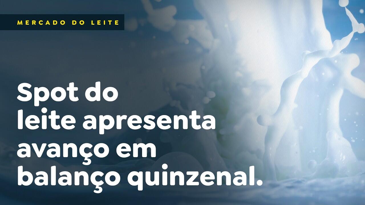 Spot do leite apresenta avanço em balanço quinzenal