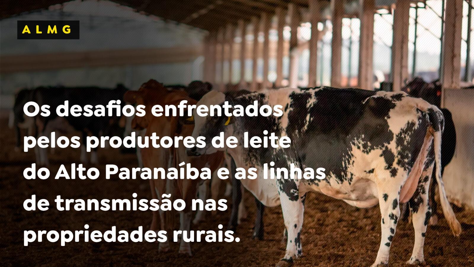 Os desafios enfrentados pelos produtores de leite do Alto Paranaíba