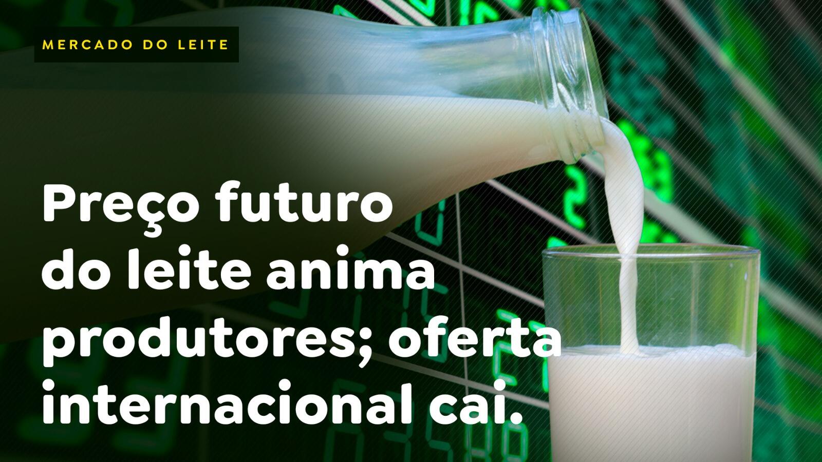 Preço futuro do leite anima produtores; oferta internacional cai