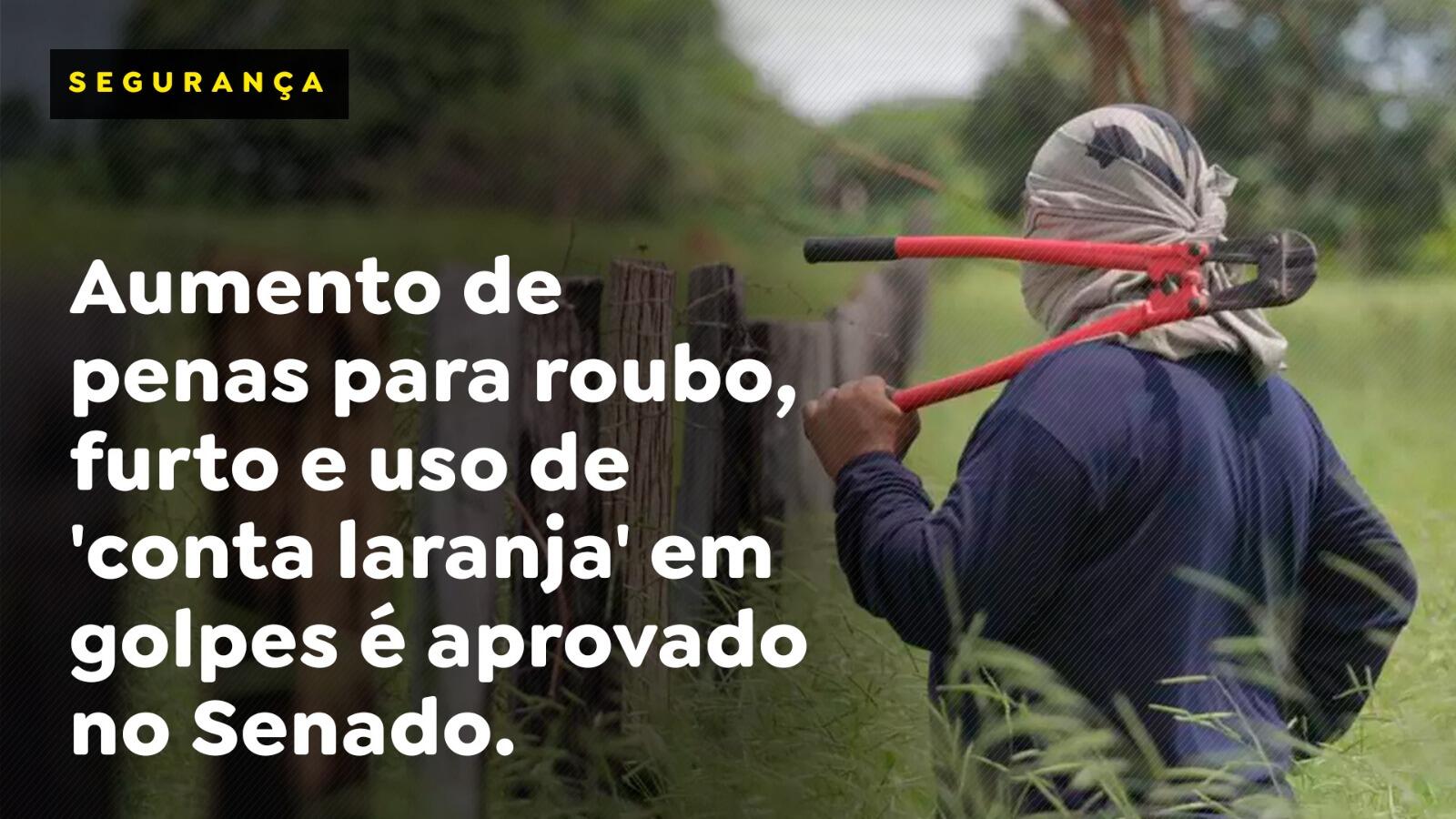 Aumento de penas para roubo, furto e uso de ‘conta laranja’ em golpes é aprovado no Senado