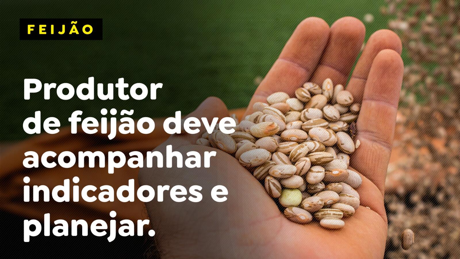 Produtor de feijão deve acompanhar indicadores e planejar