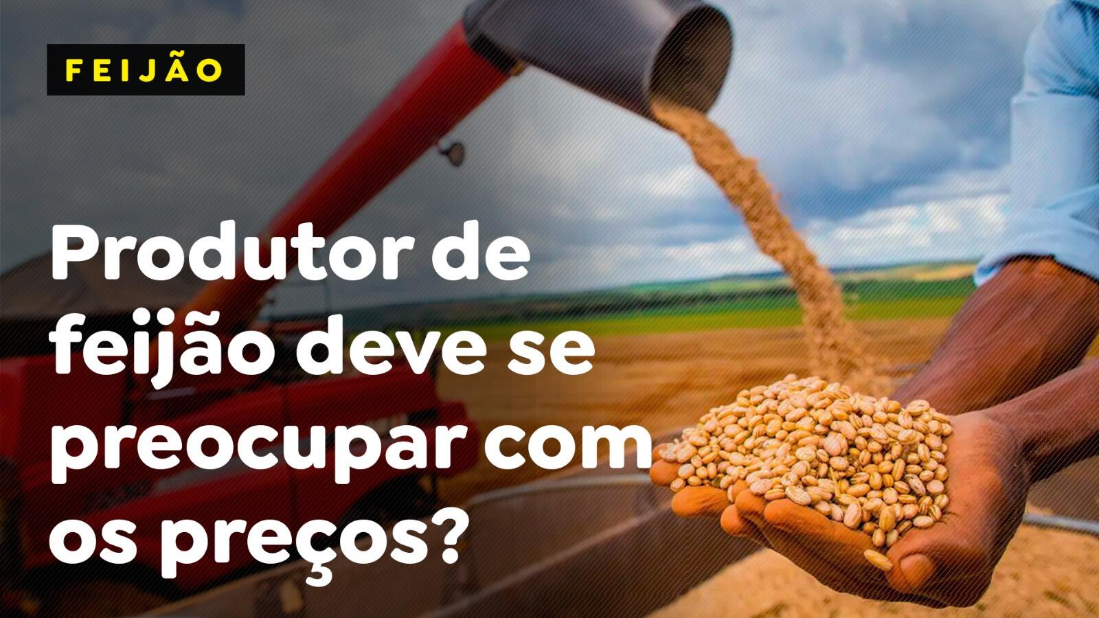 Produtor de feijão deve se preocupar com os preços?
