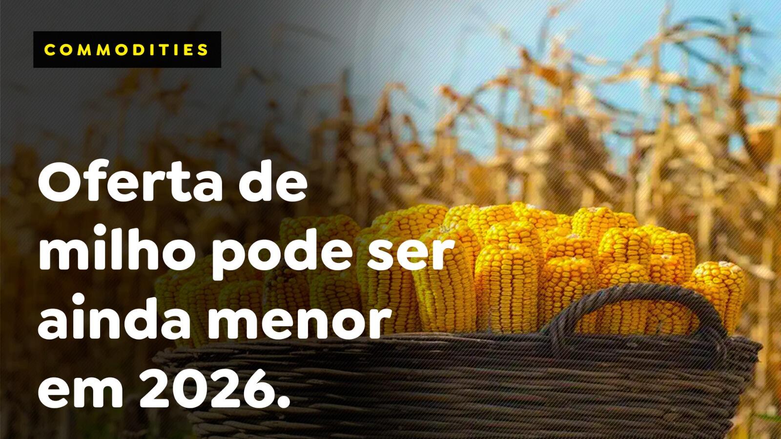 Oferta de milho pode ser ainda menor em 2026