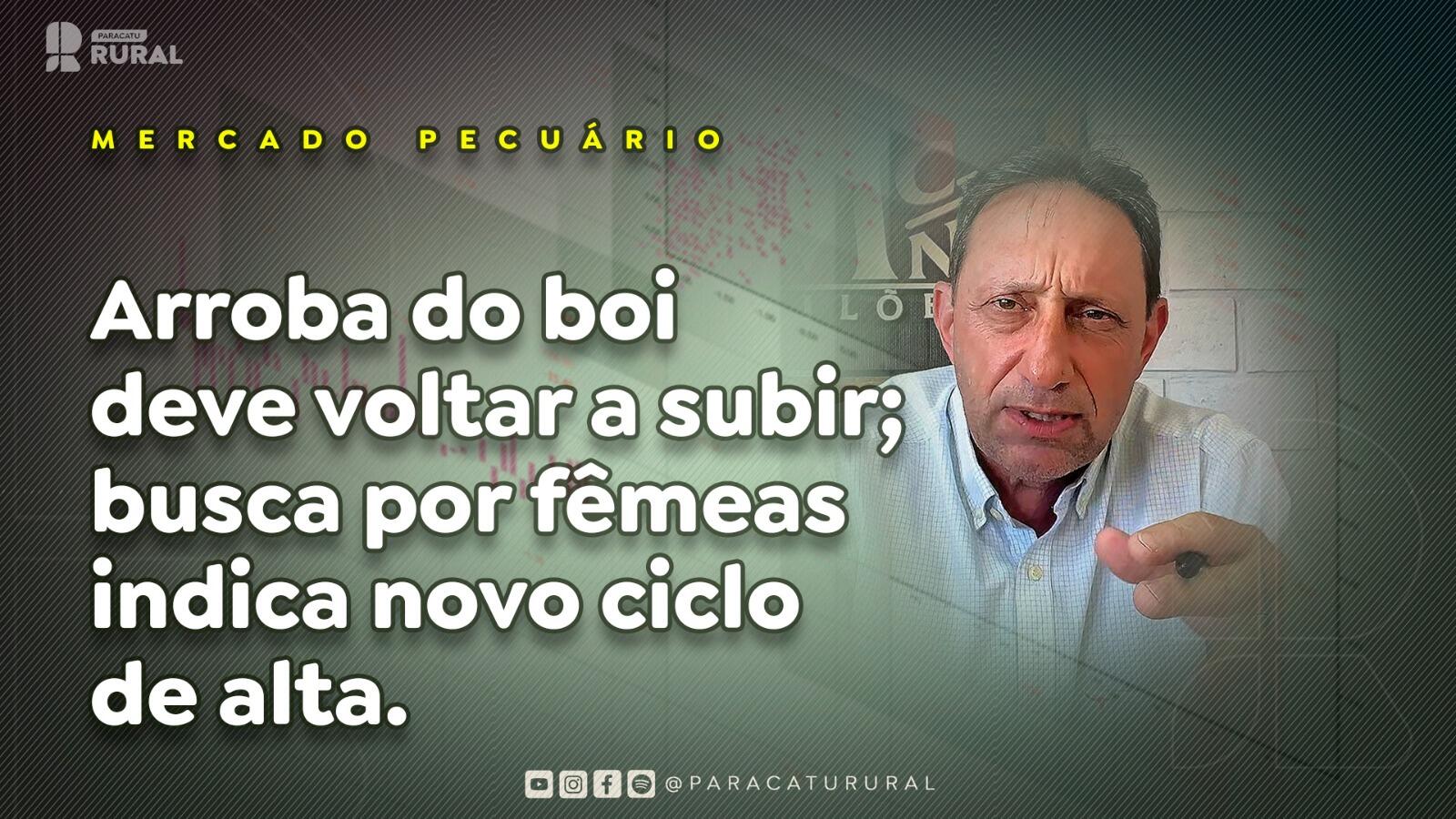 Arroba do boi deve voltar a subir; busca por fêmeas indica novo ciclo de alta.